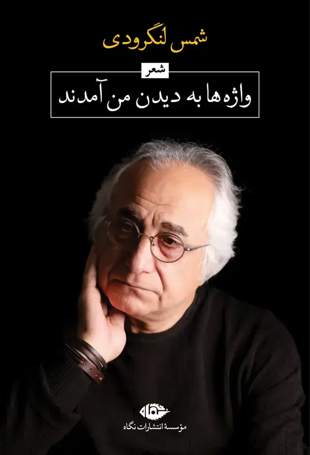 جلد کتاب واژه ها به دیدن من امدند