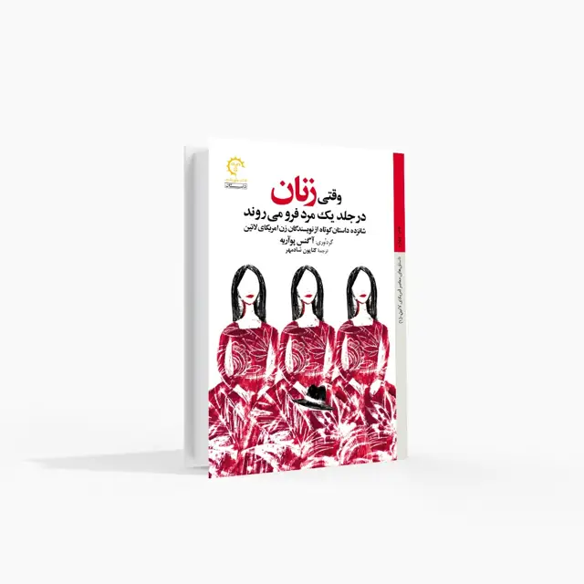 جلد کتاب وقتی زنان در جلد یک مرد فرو میروند