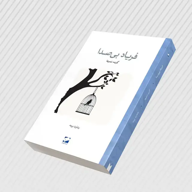 جلد کتاب فریاد بی صدا