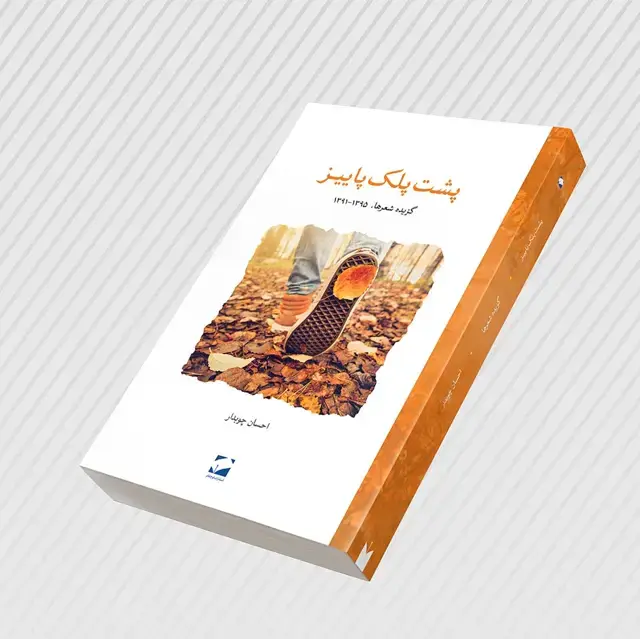 جلد کتاب پشت پلک پاییز