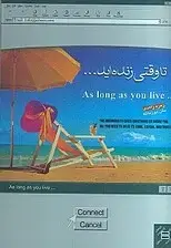 جلد کتاب تا وقتی زنده‌اید اثر زهره زاهدی