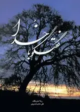 جلد کتاب گفتگو با خدا
