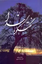 جلد کتاب فایل صوتی گفتگو با خدا اثر ریتا استریکلند