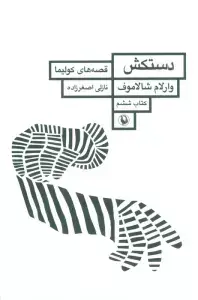 جلد کتاب پترزبورگ