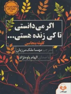 جلد کتاب راز کلاه رومی 7 (مجموعه کارآگاهی39)