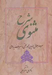 جلد کتاب شرح مثنوی 5