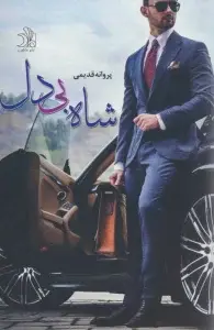 جلد کتاب ساقه های رقصان