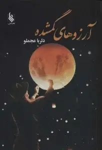 جلد کتاب آرزوهای گمشده