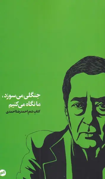 جلد کتاب جنگلی می‌سوزد ما نگاه می‌کنیم (کارگاه‌اتفاق)
