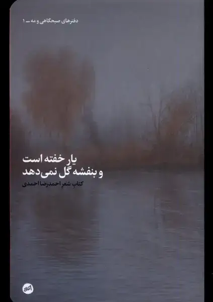 جلد کتاب یار خفته است و بنفشه گل نمیدهد (کارگاهاتفاق)