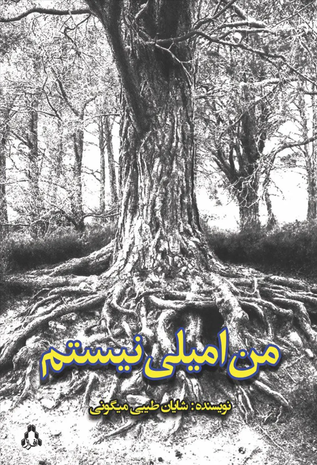 جلد کتاب من امیلی نیستم