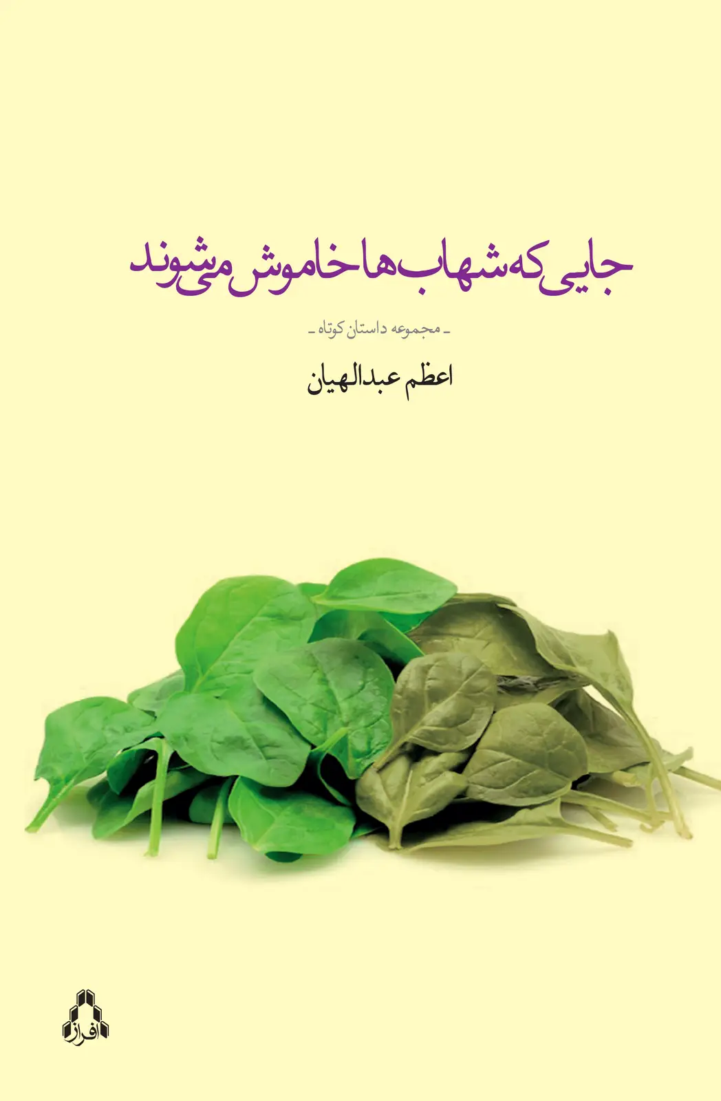 جلد کتاب جایی که شهاب ها خاموش می شوند
