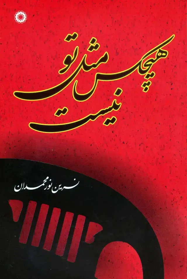 جلد کتاب هیچکس مثل تو نیست