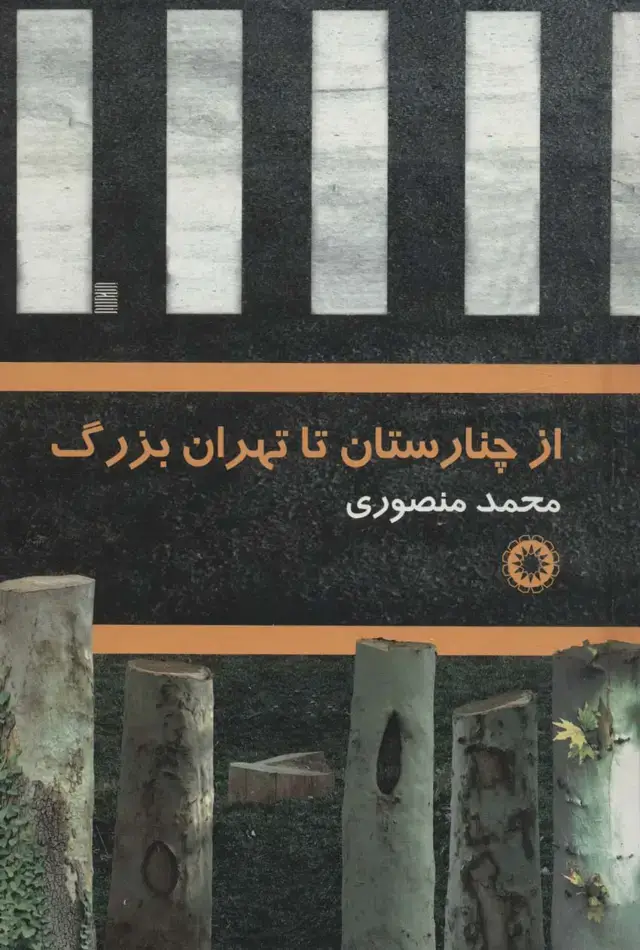 جلد کتاب از چنارستان تا تهران بزرگ