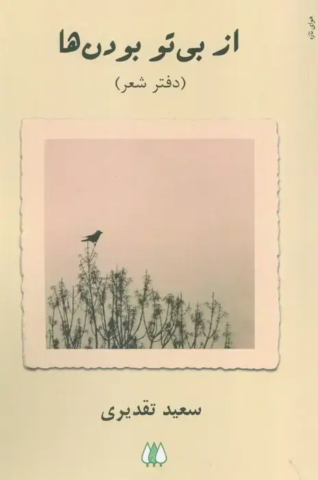 جلد کتاب از بی تو بودن ها