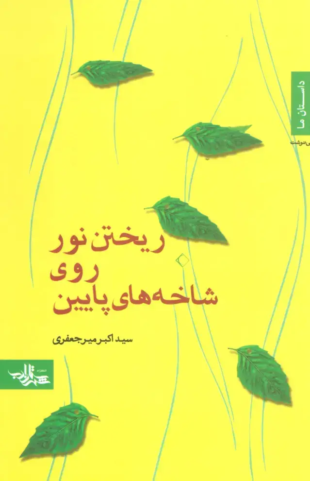 جلد کتاب ریختن نور روی شاخه های پایین (داستان ما،رمان ایرانی19)