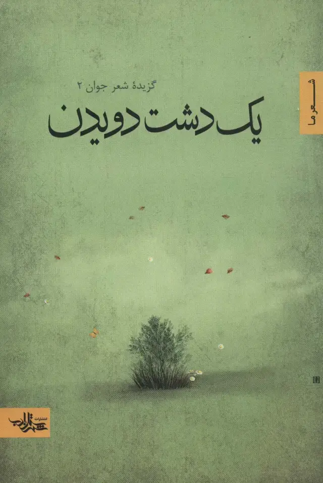 جلد کتاب یک دشت دویدن (گزیده شعر جوان 2)