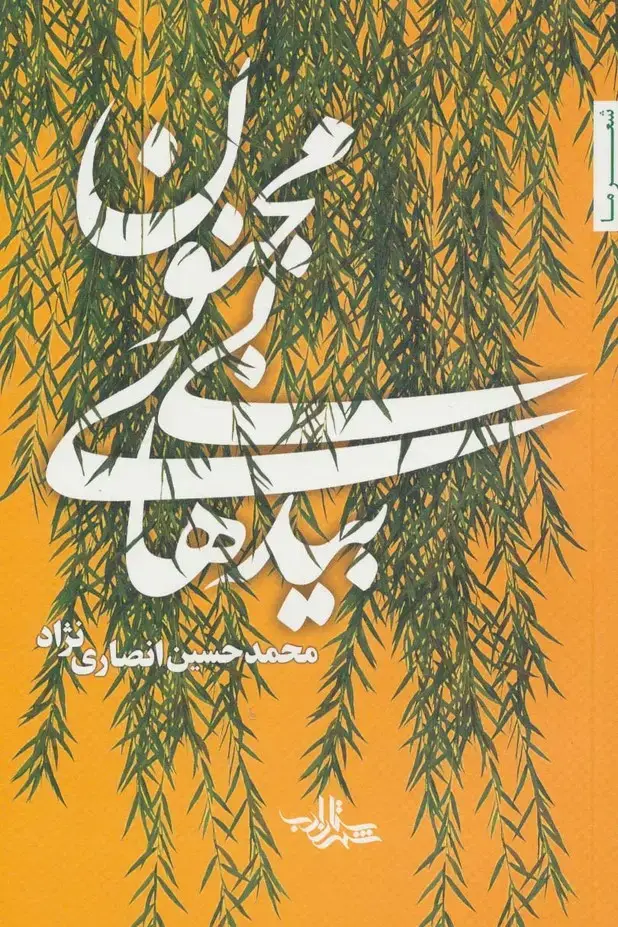 جلد کتاب بیدهای بی مجنون (شعر ما111)