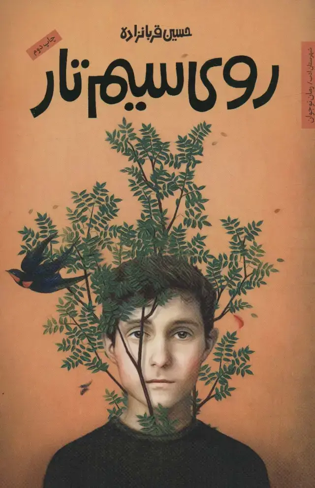 جلد کتاب روی سیم تار (رمان نوجوان13)
