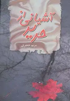 جلد کتاب آشیانی از حریر
