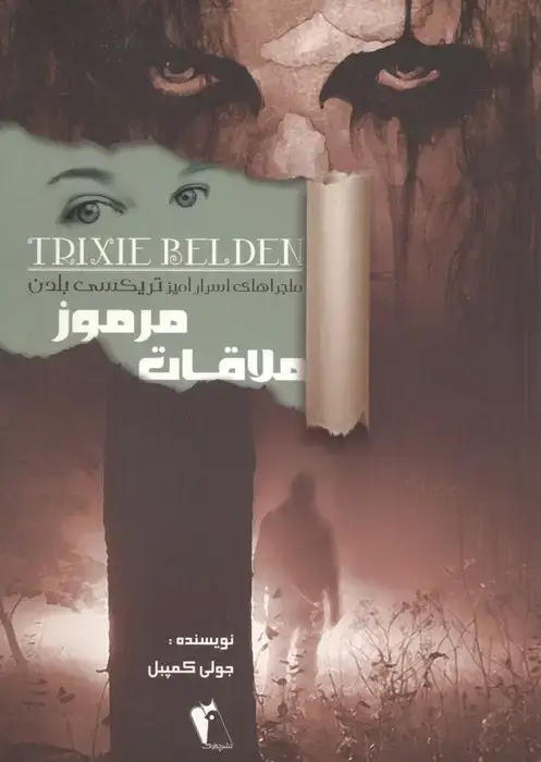 جلد کتاب ملاقات مرموز (ماجراهای اسرارآمیز تریکسی بلدن)