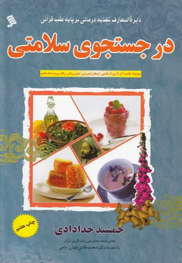 جلد کتاب در جستجوی سلامتی (نشرشهر) @