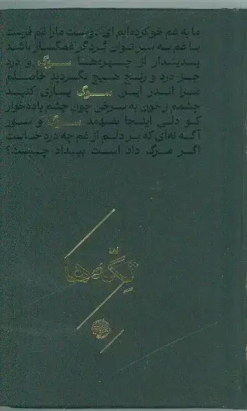 جلد کتاب تکه ها: سوگ
