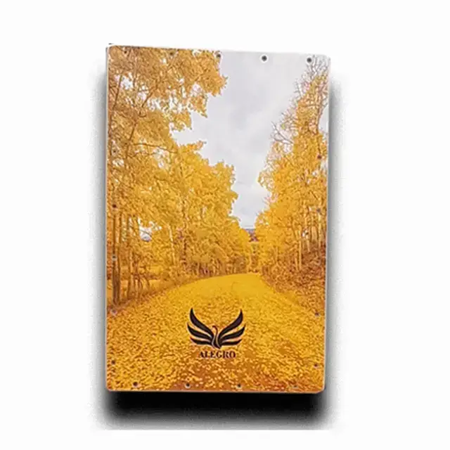 جلد کتاب ( انواع طرح ) کاخن الگرو