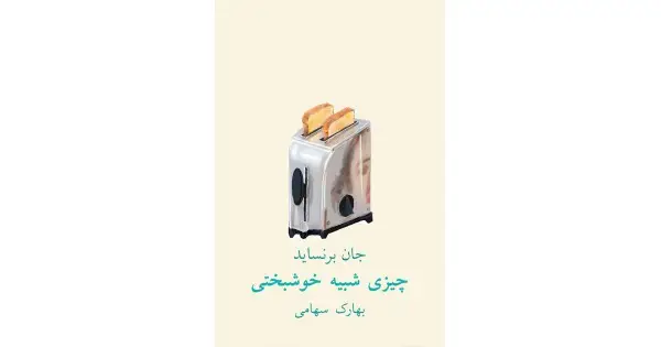 جلد کتاب چیزی شبیه خوشبختی