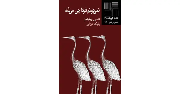 جلد کتاب نمی‌دونم فردا چی می‌شه
