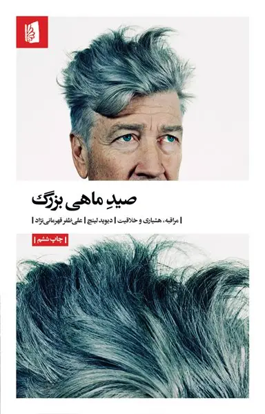 جلد کتاب صید ماهی بزرگ