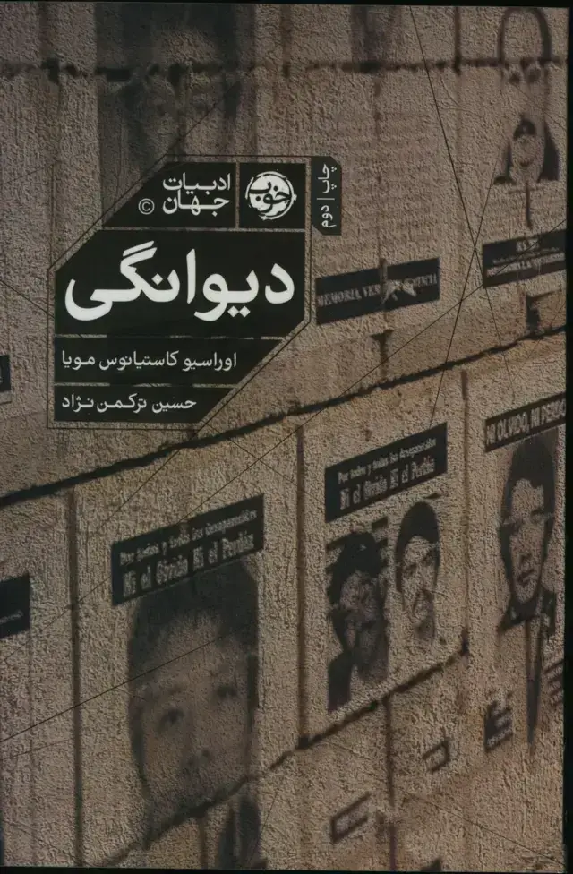 جلد کتاب دیوانگی