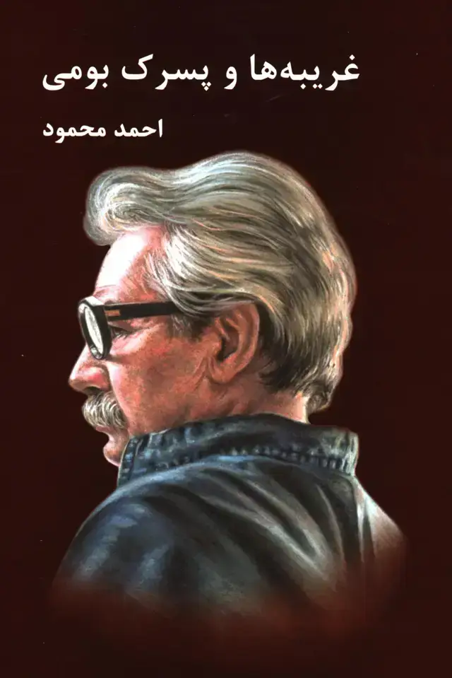 جلد کتاب غریبه ها و پسرک بومی