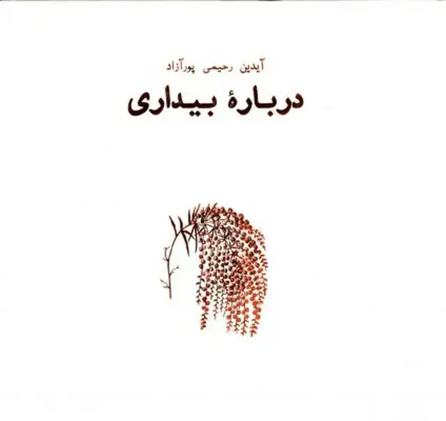 جلد کتاب همه این سال ها: درباره بیداری
