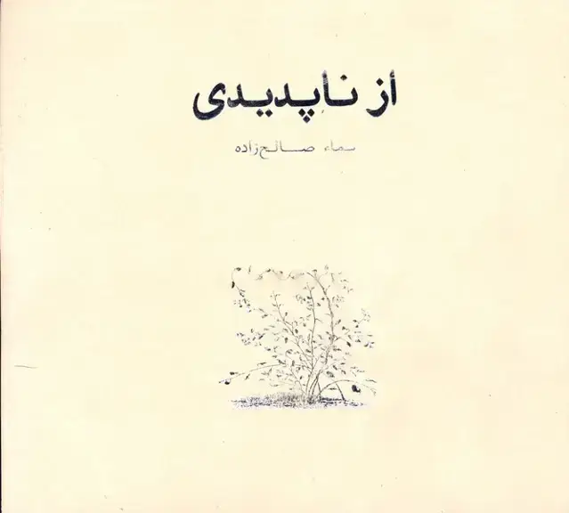 جلد کتاب همه این سال ها: از ناپدیدی