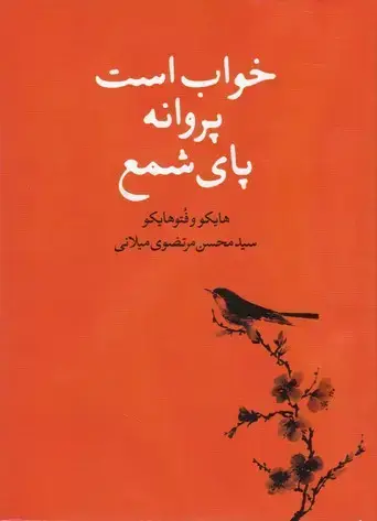 جلد کتاب خواب است پروانه پای شمع: هایکو و فتوهایکو