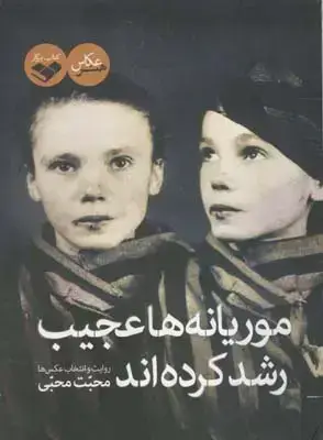 جلد کتاب موریانه ها عجیب رشد کرده اند، روایت و انتخاب عکس های محبت محبی