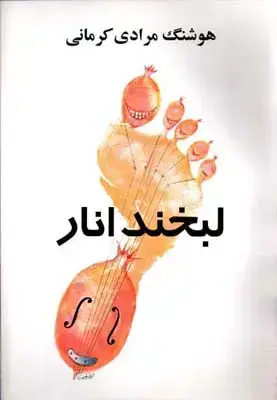 جلد کتاب لبخند انار