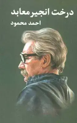 جلد کتاب درخت انجیر معابد (دو جلدی)
