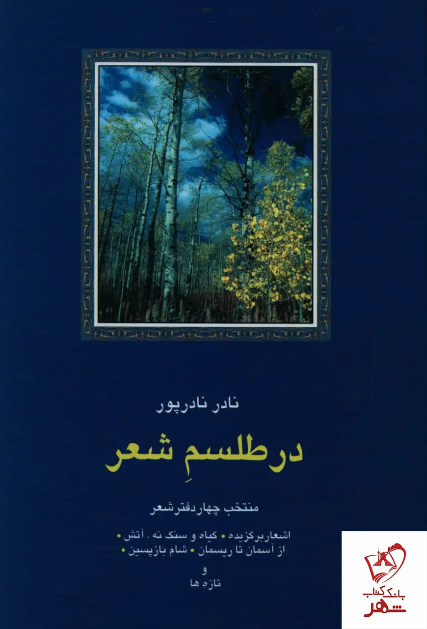 جلد کتاب خرید کتاب در طلسم شعر (منتخب چهار دفتر شعر) نادر نادرپور نشر سخن