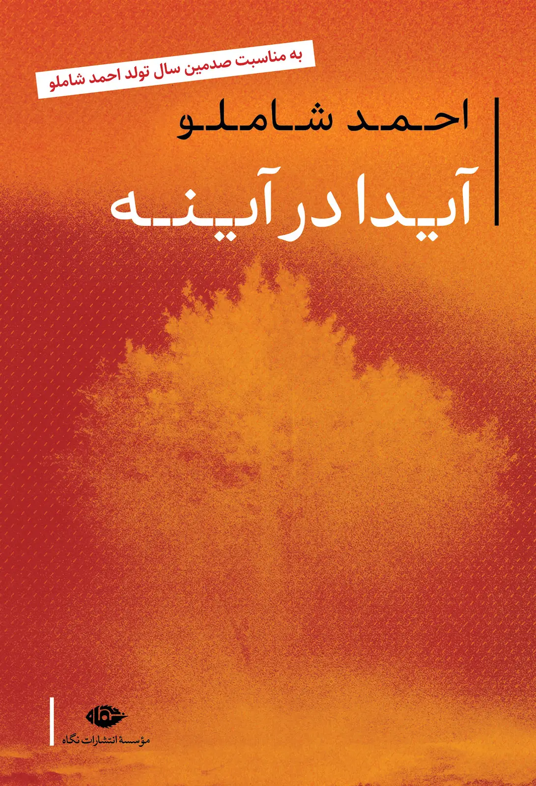جلد کتاب ایدا در اینه