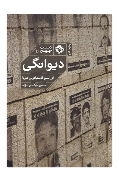 جلد کتاب دیوانگی