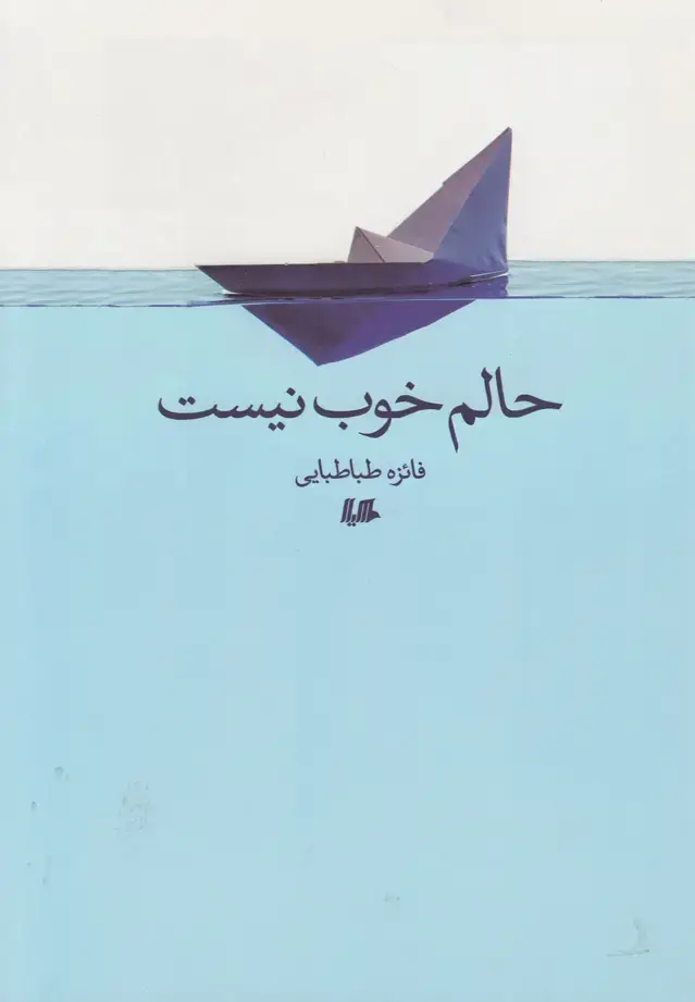 جلد کتاب حالم خوب نیست (هیلا)