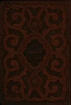 جلد کتاب سرو سخنگو