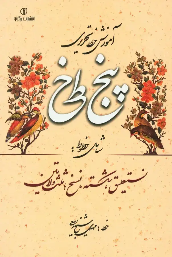 جلد کتاب خطوط تفننی در ایران