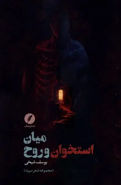 جلد کتاب میان استخوان و روح (نقدفرهنگ)