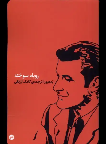 جلد کتاب روباه سوخته (کارگاهاتفاق)
