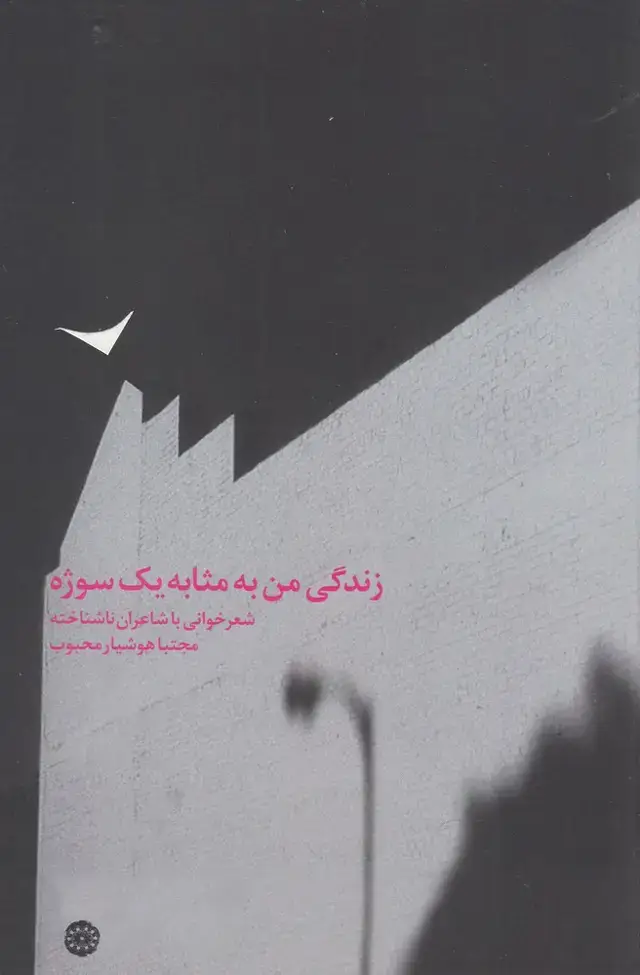 جلد کتاب زندگی من به مثابه یک سوژه (آرادمان)