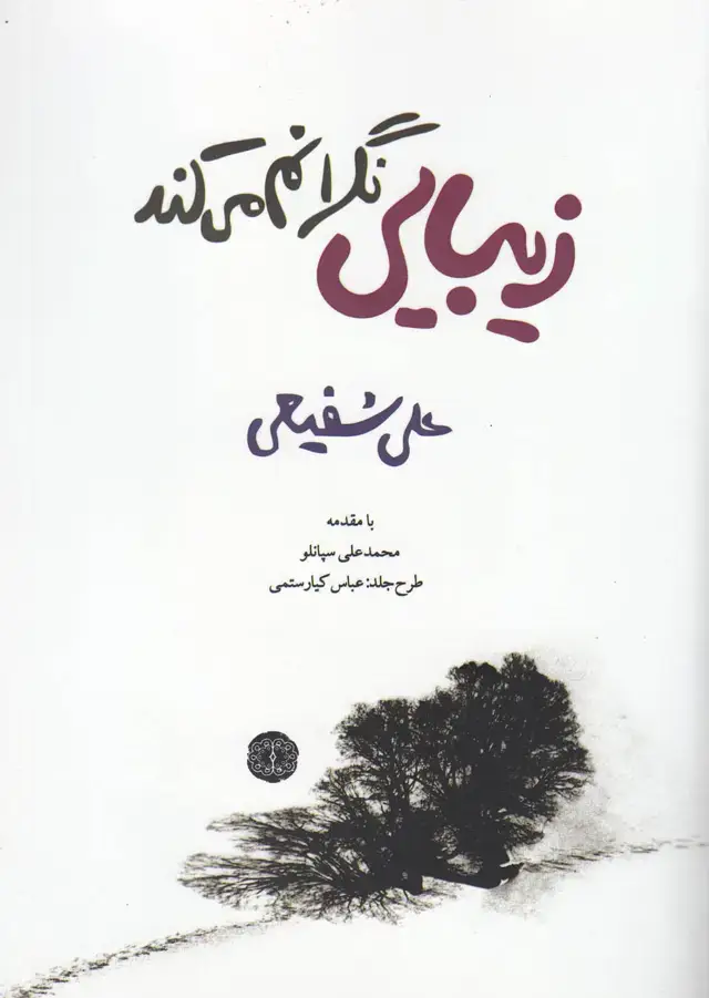 جلد کتاب زیبایی نگرانم میکند (آرادمان)