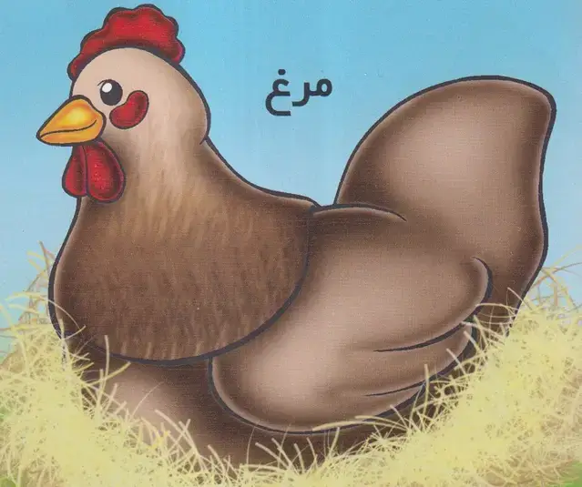 جلد کتاب آموزش خردسالان (مرغ) خانه ادبیات